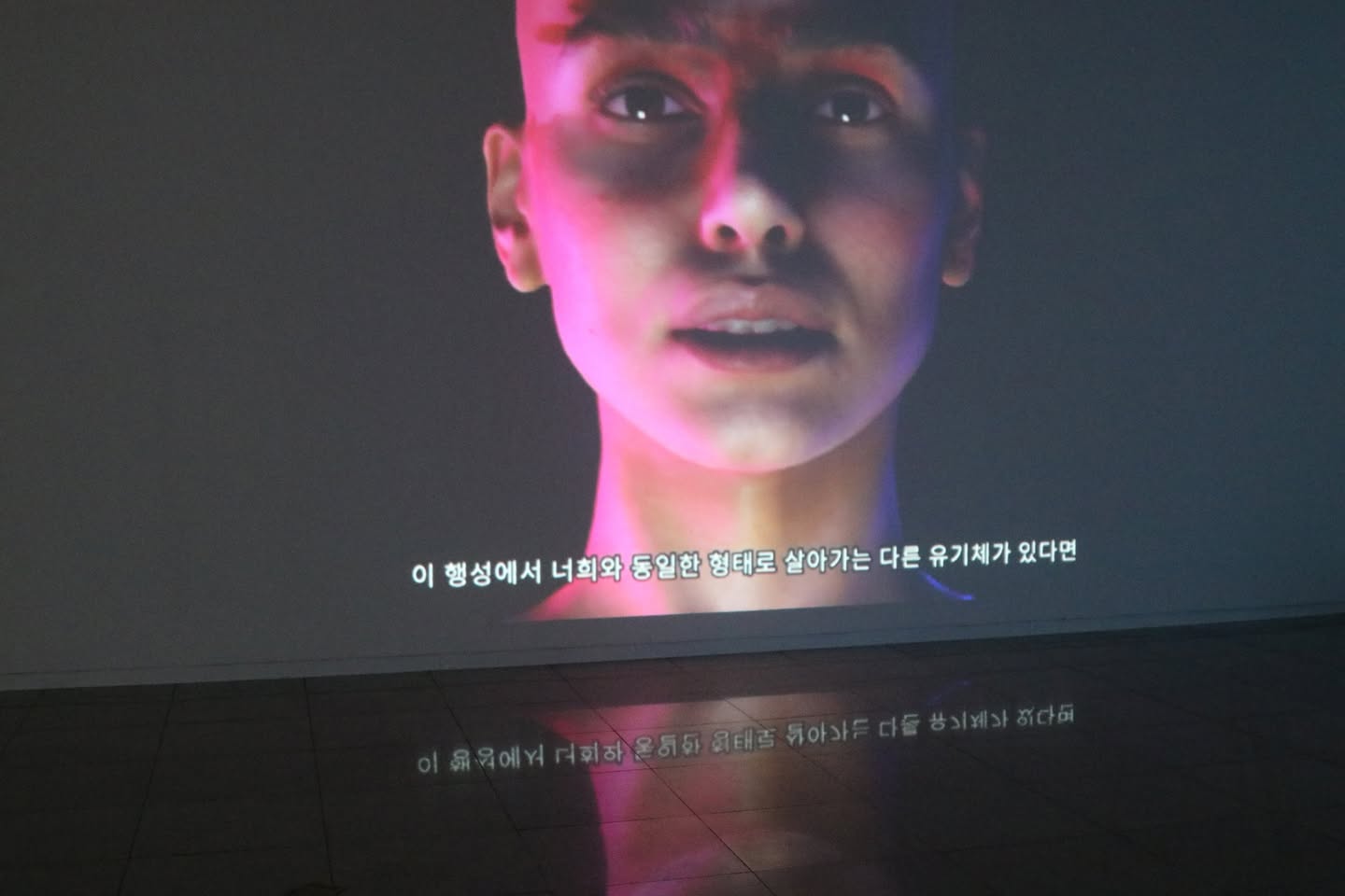 양평군립미술관 기획전시 「e.想세계_낯선정원」전 개막 관련 사진