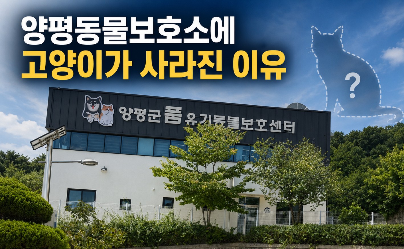 양평군 유기동물보호센터. 양평포스트는 고양이 보호·공고 체계와 새끼고양이 야간 돌봄 공백 문제를 취재했다. ⓒ양평포스트