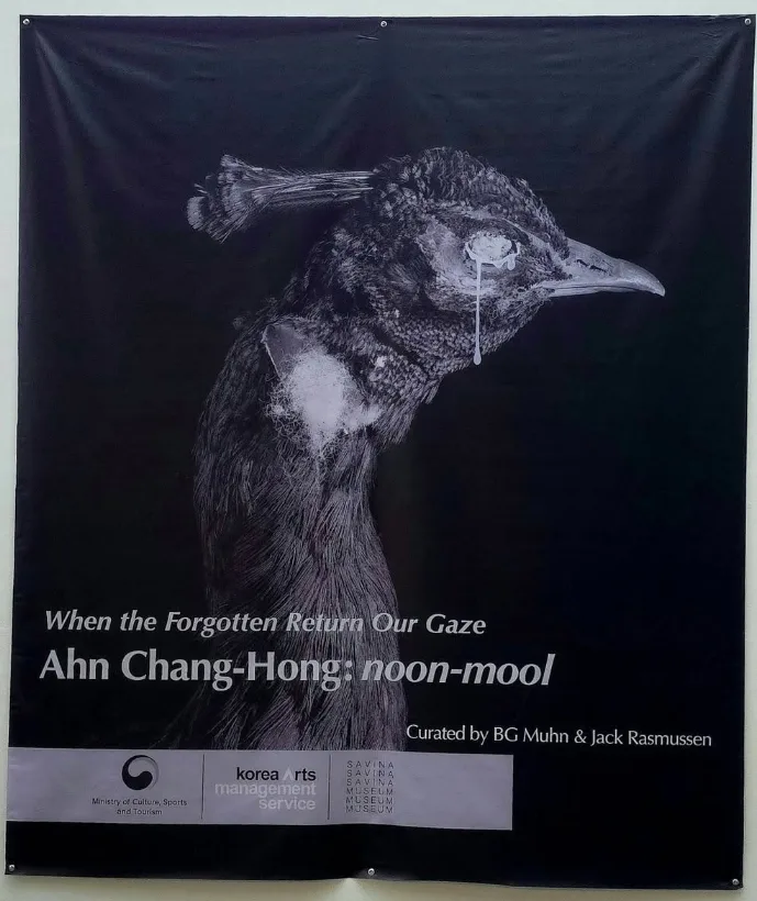 《Ahn Chang-Hong: noon-mool》 전시 포스터. 박제된 동물의 눈에서 눈물이 흐른다. “When the Forgotten Return Our Gaze(잊힌 존재들이 우리의 시선을 되돌려줄 때)”라는 문구가 적혀 있다. 사진=안창홍 작가 페이스북